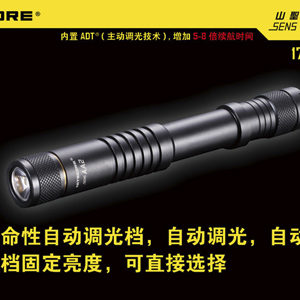 【停產】公司貨NiteCore SENS AA2 170流明  ADT主動調光 高亮度EDC LED手電(2*AA)